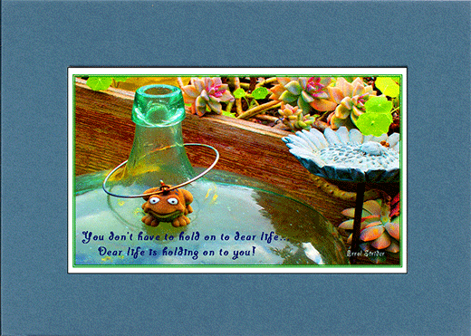 Picture of toy frog on bottle with saying, "You don't have to hold on to dear life. Dear life is holding on to you."