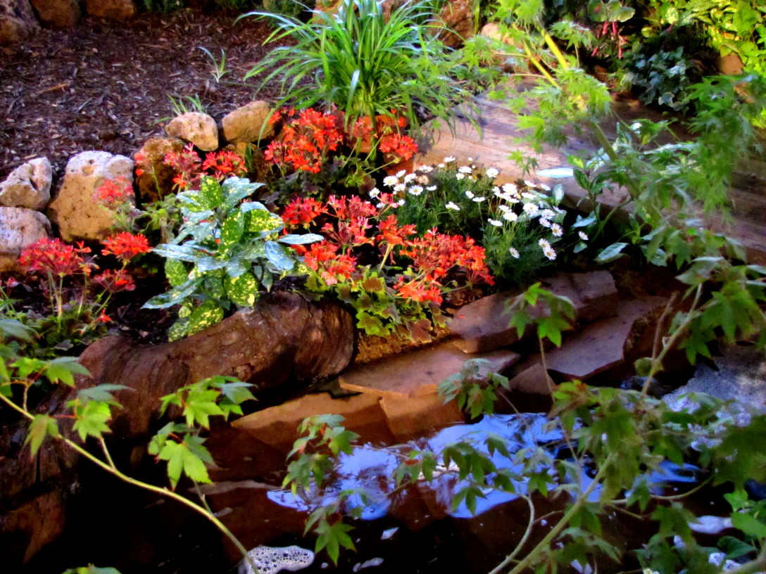 Beauty of Nature as a Spiritual Phenomenon