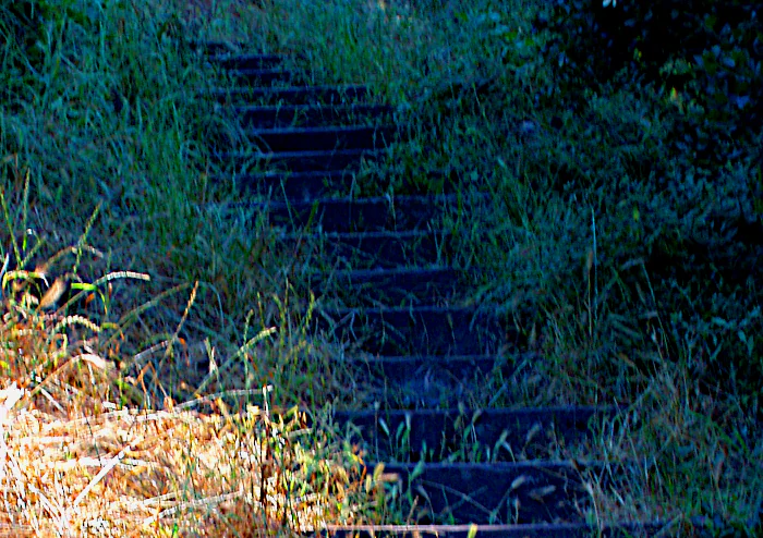Outdoor stairs blue